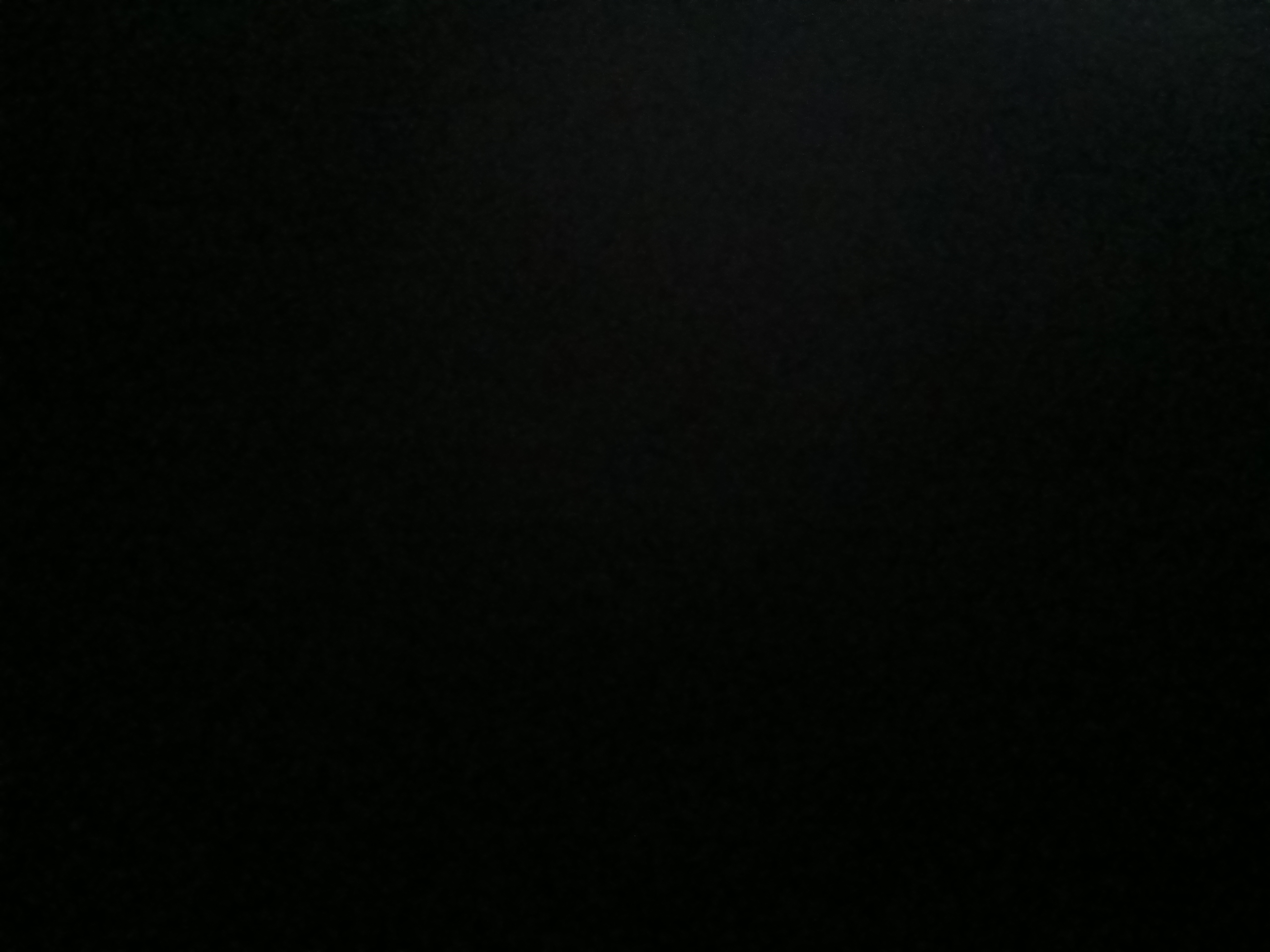 محمد ادم حسن محمد